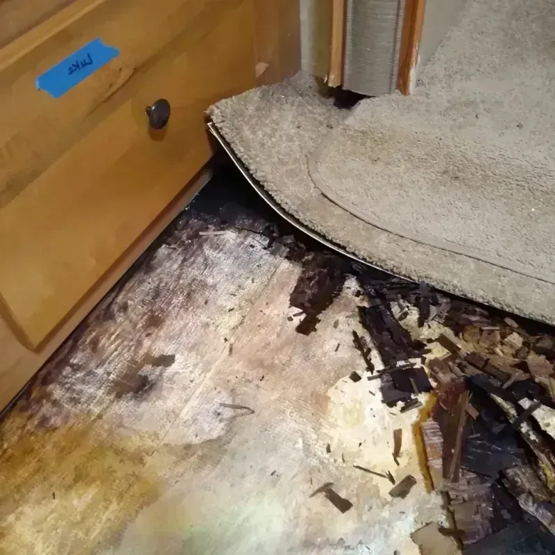 Best Wood Floor Water Damage Service in Friendship, WI